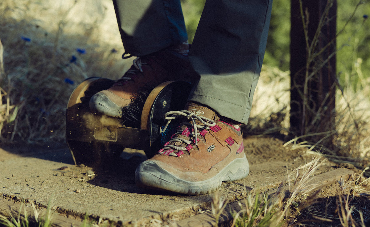 Womens Targhee IV Waterproof Hiking Shoe BisonBeaujolais