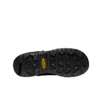 Mens Dover 8 Insulated Waterproof Boot Carbon Toe Dark EarthBlack