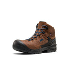 Mens Targhee IV LTR Waterproof Work Boot Carbon Toe BisonBlack