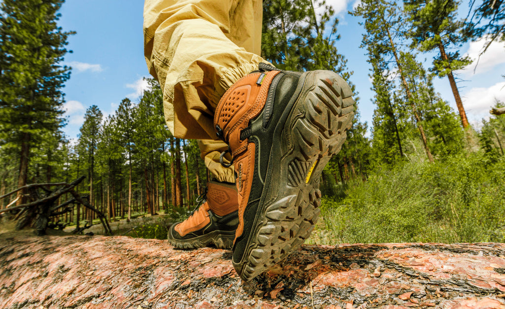 Mens Targhee IV Waterproof Hiking Boot BisonBlack