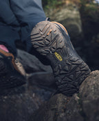 Mens Targhee IV Waterproof Hiking Shoe JavaBison