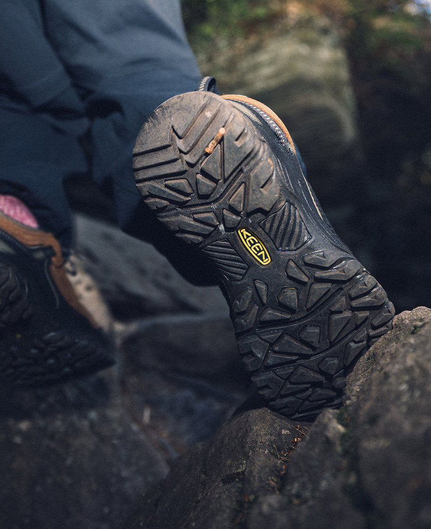 Mens Targhee IV Waterproof Hiking Shoe JavaBison
