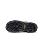 Mens Targhee IV LTR Waterproof Work Boot Carbon Toe BisonBlack