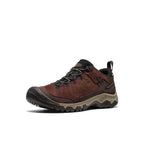 Mens Targhee IV Waterproof Hiking Shoe JavaBison