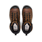 Mens Targhee IV 8 Insulated Waterproof Work Boot Carbon Toe BisonBlack